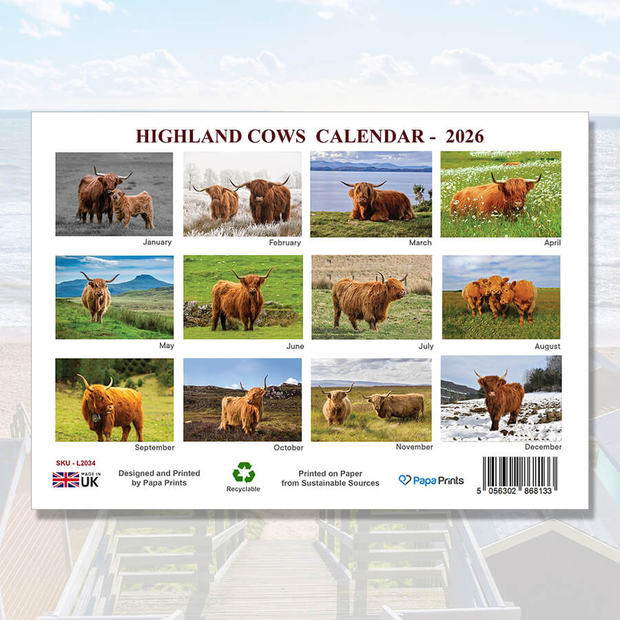 Highland Cow Wall Calendars