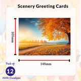 Blank greeting cards