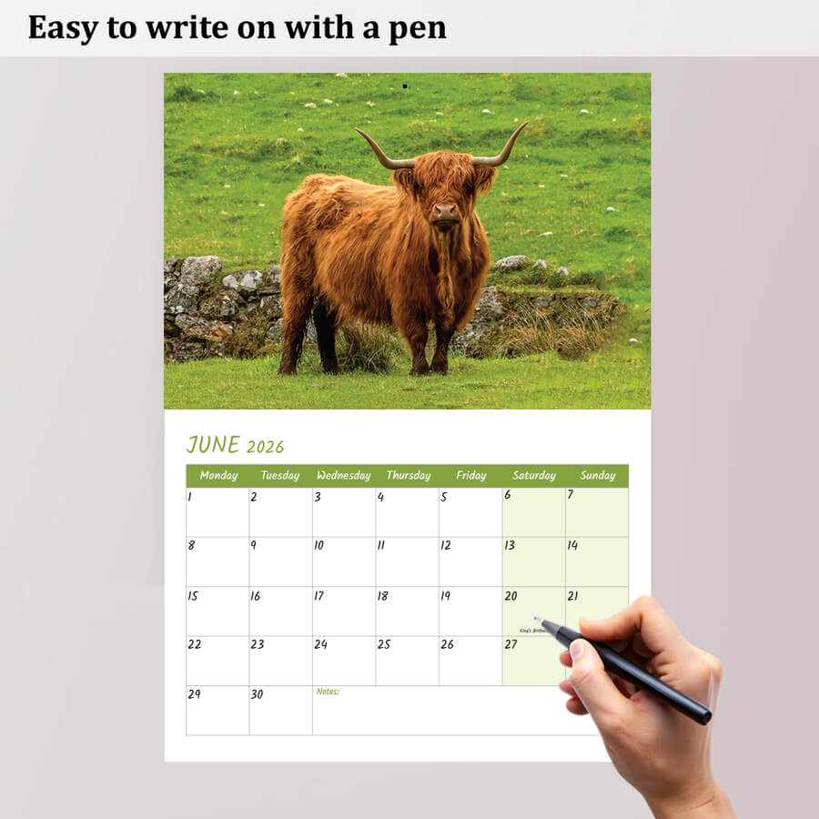 Highland Cow Calendar