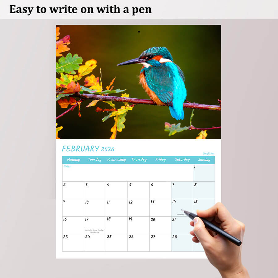 British Bird Calendar 2026 - 12 Month - A3