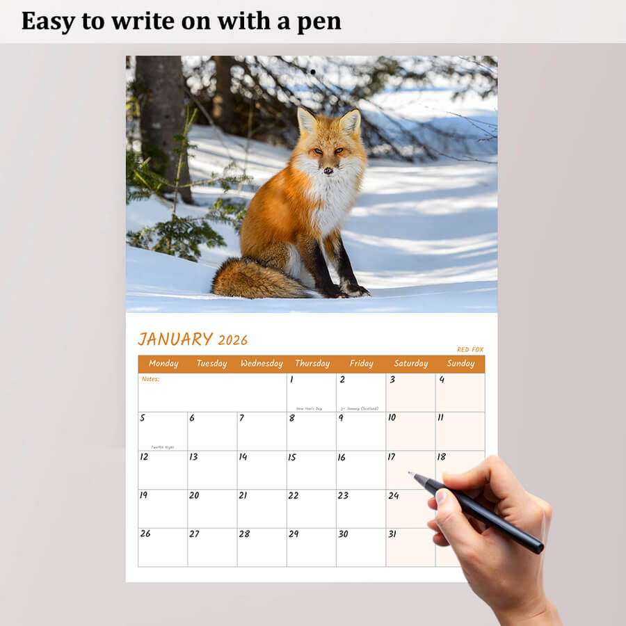Native UK Wildlife 2026 A3 Calendar