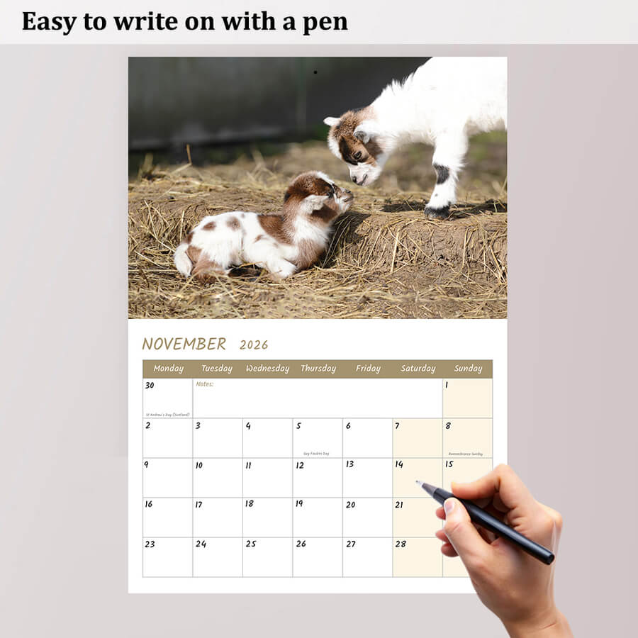 Baby Goat Calendar