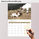 Baby Goat Calendar