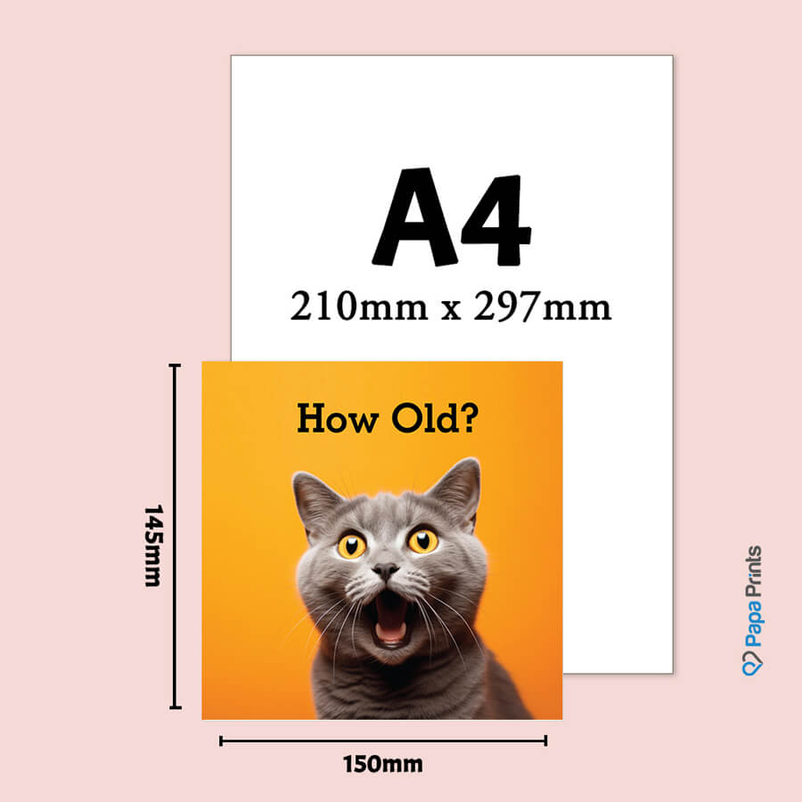Humorous Cat Age Birthday Card
