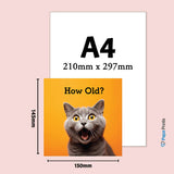 Humorous Cat Age Birthday Card