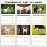 2026 Baby Goats Calendar