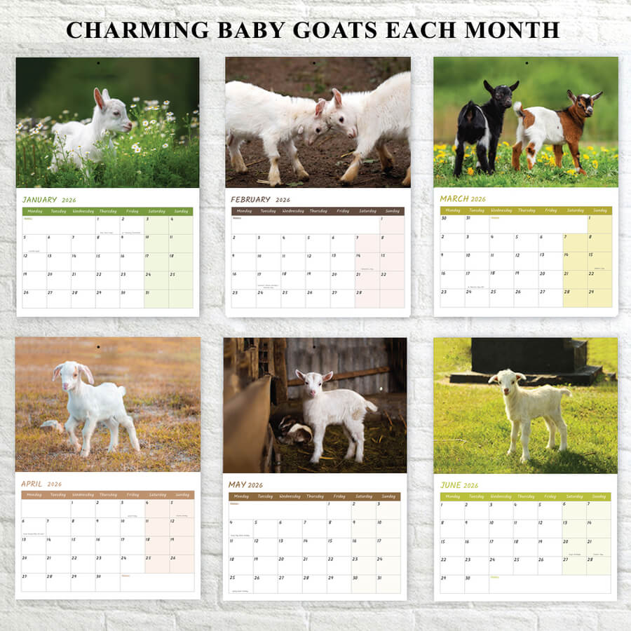 2026 Baby Goats Calendar