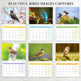 Garden Birds Calendar 2026 UK