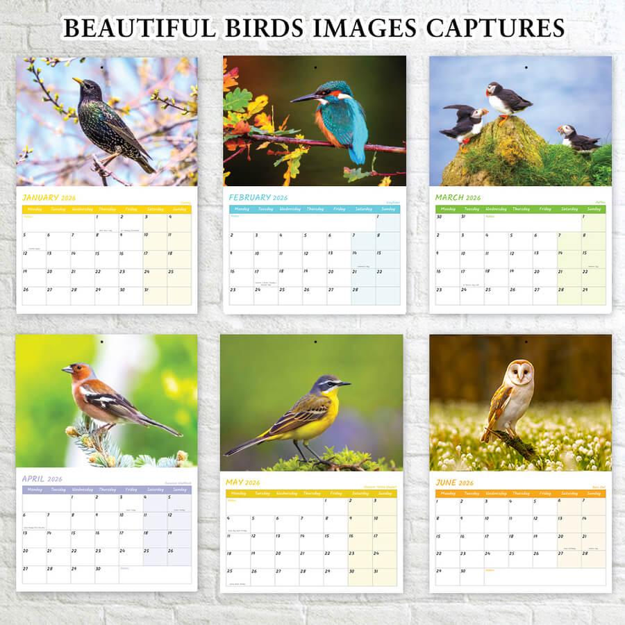 Garden Birds Calendar 2026 UK