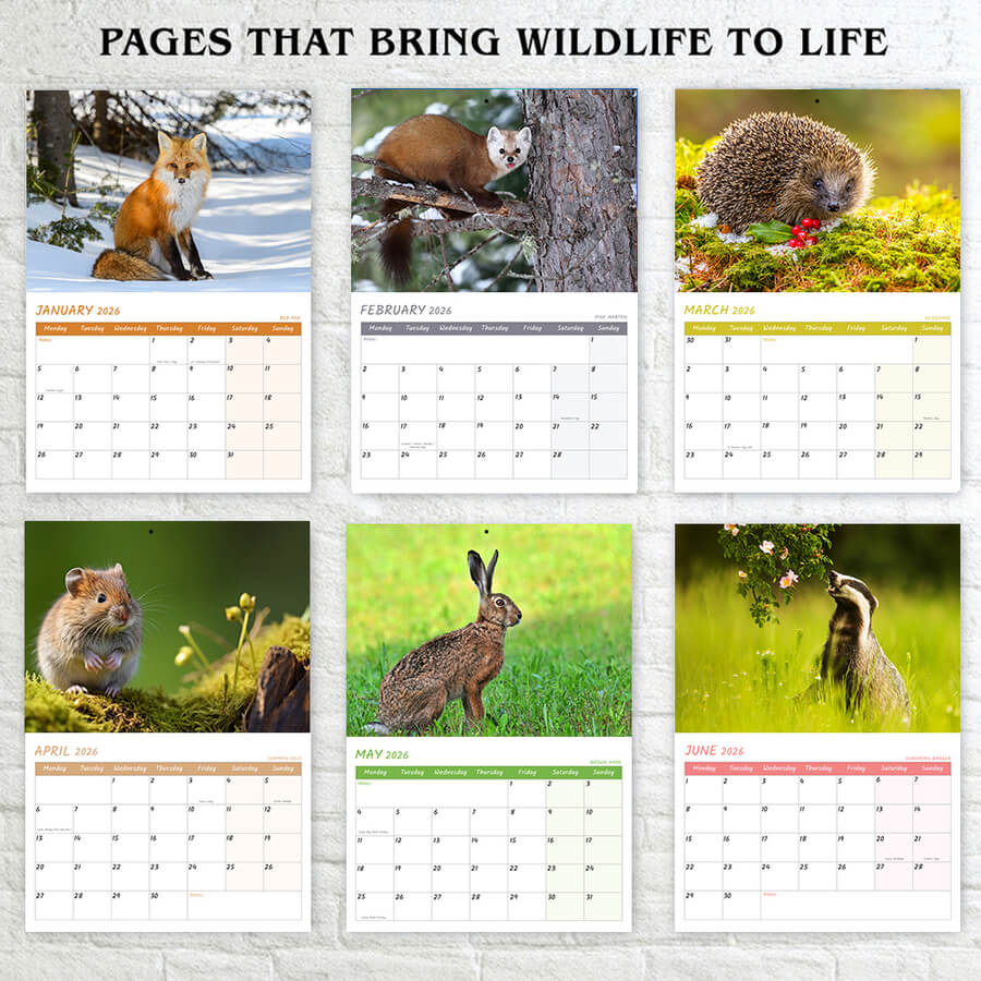 2026 Wildlife of Britain A3 Wall Calendar