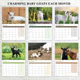 Baby Goat Wall Calendar 2026