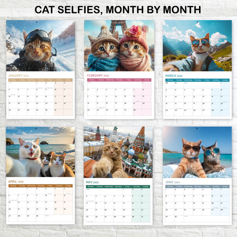 Adorable Cat Selfie Wall Calendar 2026