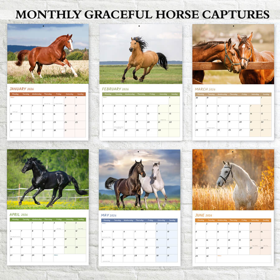 Horse 2026 wall calendar