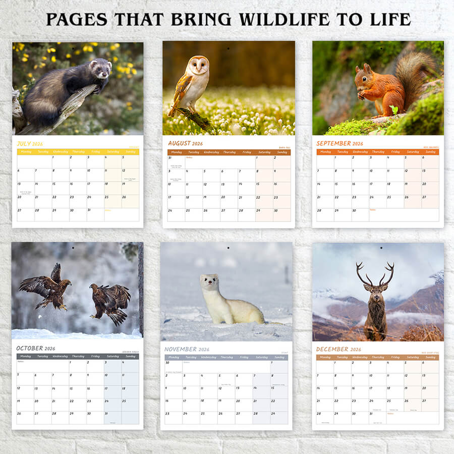 Wild Animals of UK Calendar 2026 – A3 Size