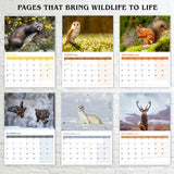 Wild Animals of UK Calendar 2026 – A3 Size