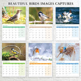British Bird Calendar 2026 - 12 Month - A3