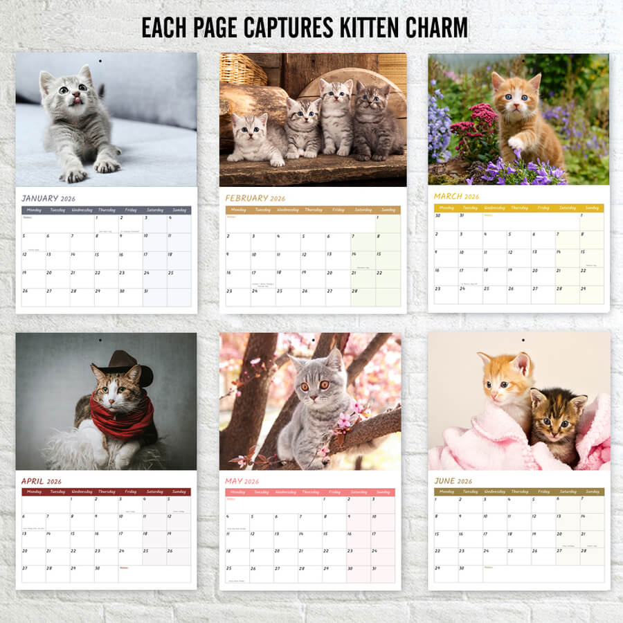 Adorable Kittens 12-Month Calendar 2026 A3