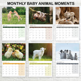 Baby animals 2026