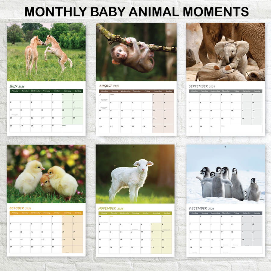 Baby animals 2026