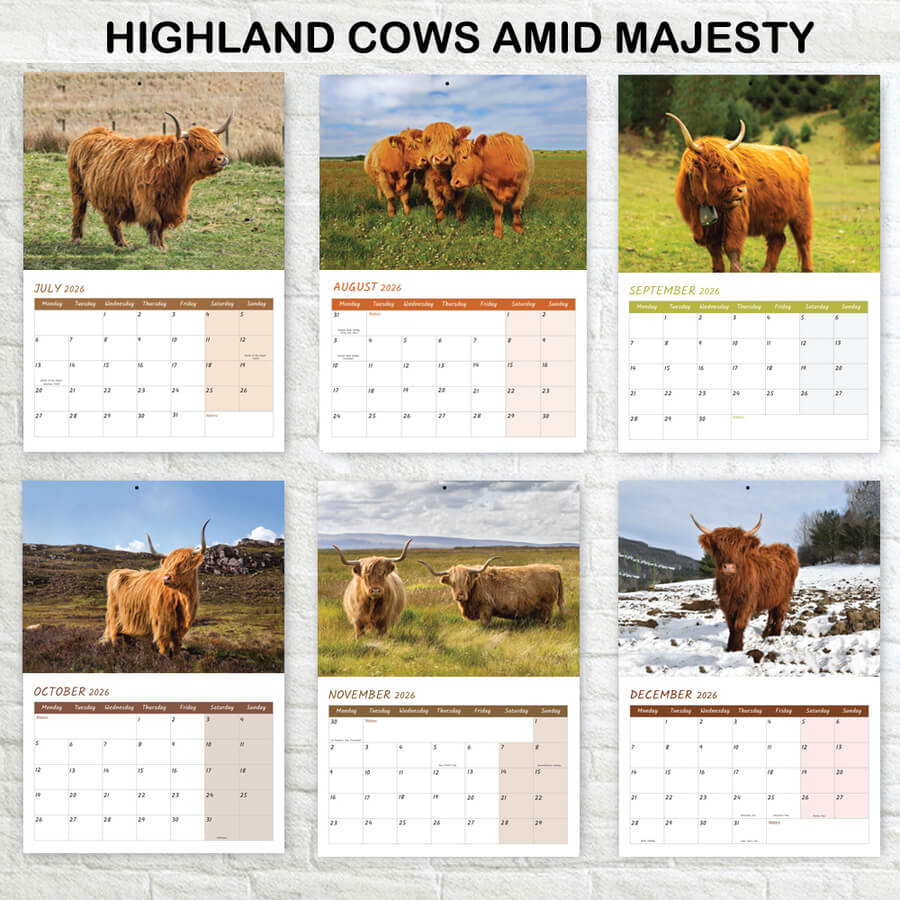 A3 to A4 Cow Wall Planner