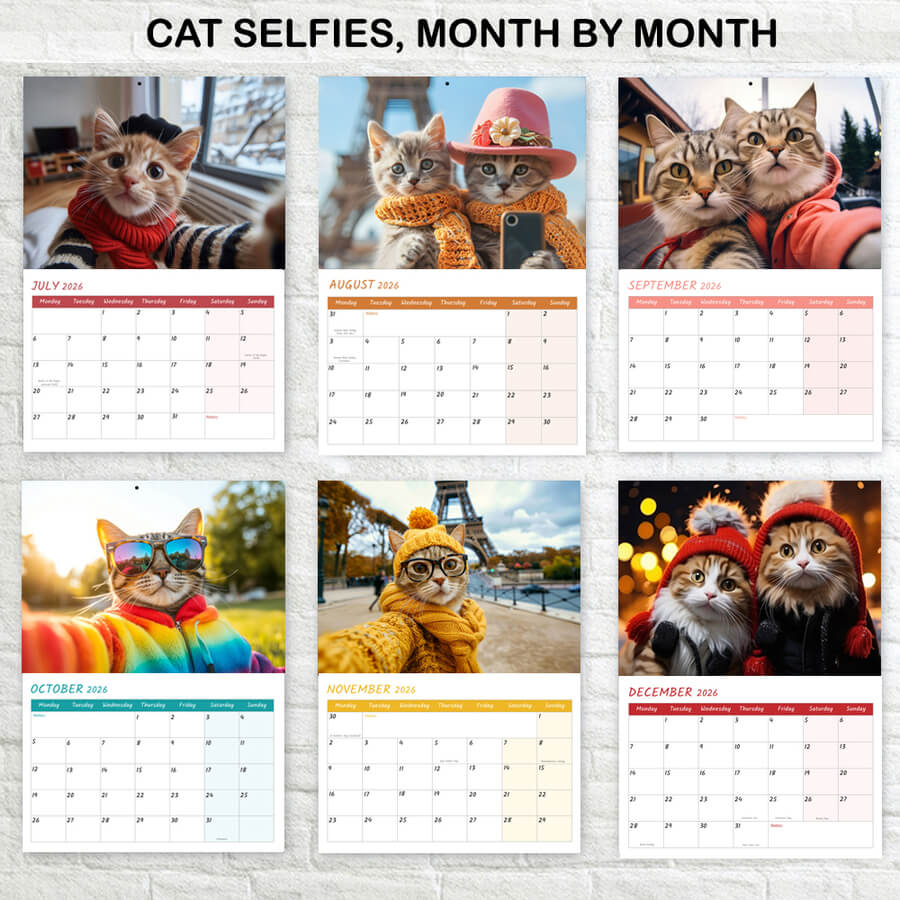 12-Month Funny Cat Selfies Calendar 2026