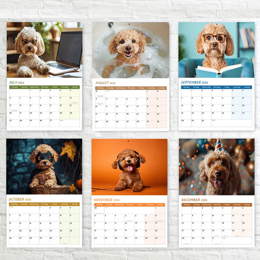  Cockapoo Calendar 