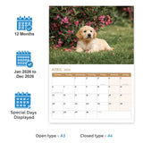 calendar for dogs