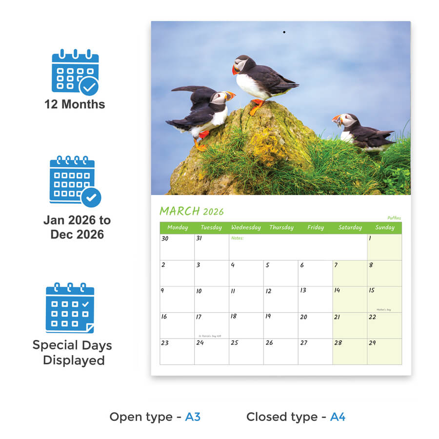 2026 Bird Wall Calendar A3 to A4