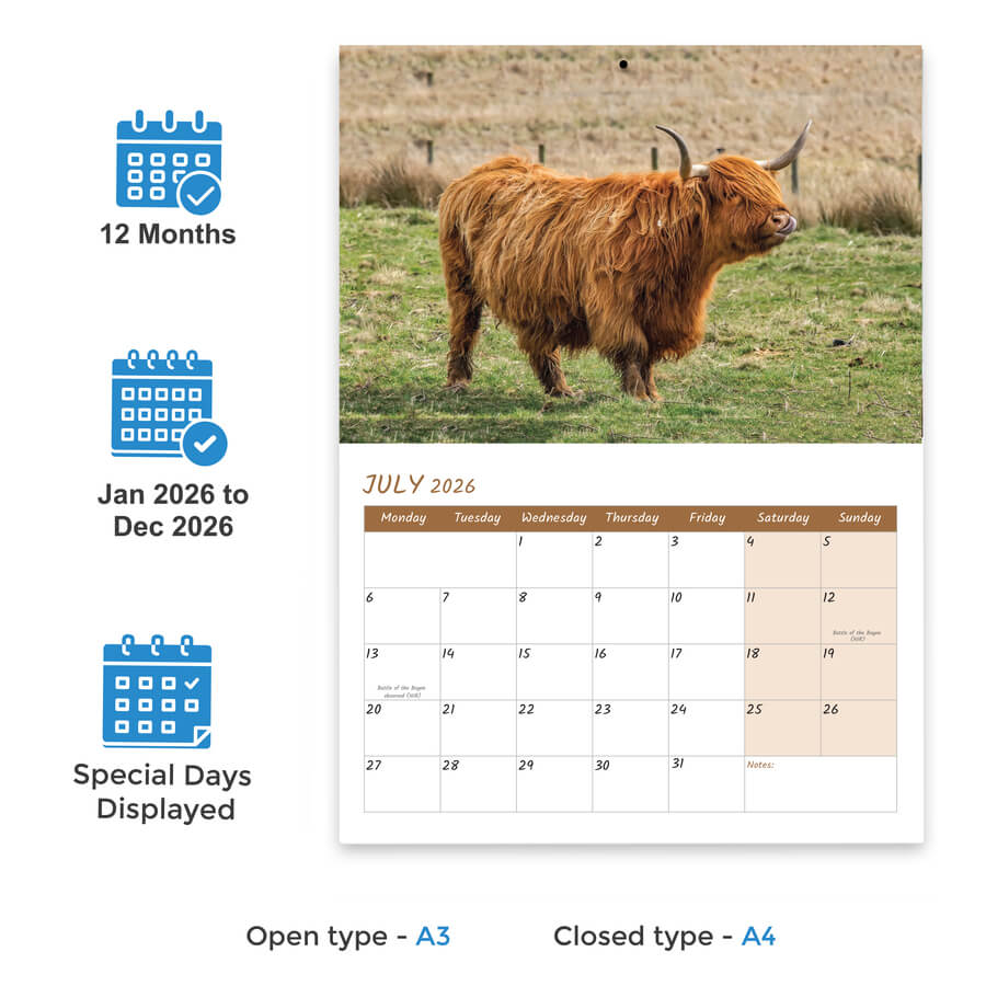 12-Month Highland Cow Calendar