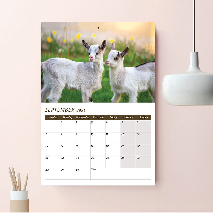 A3 Wall Planner with UK Holidays