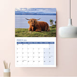 12-Month Highland Cow Calendars