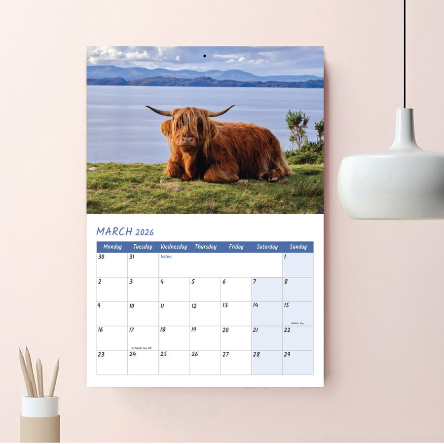 12-Month Highland Cow Calendars