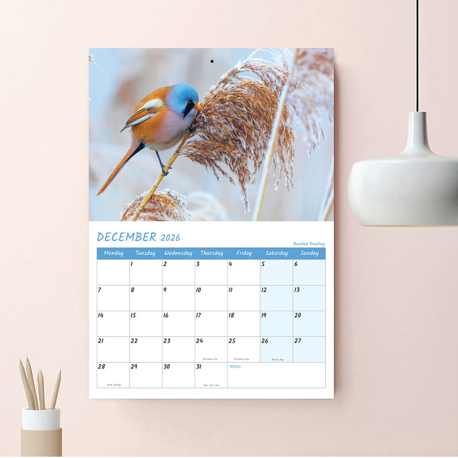 Birds Calendar 2026 UK