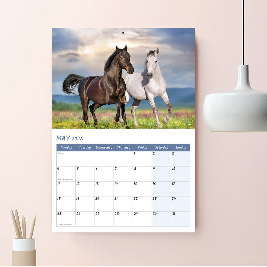 2026 wall calendar 