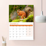 A3 British Wildlife Photography Calendar 2026