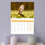 Wildlife Bird Calendar 2026 for Wall