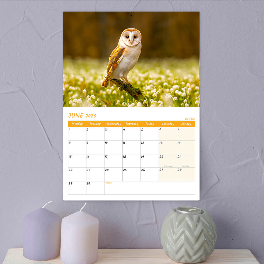 Wildlife Bird Calendar 2026 for Wall