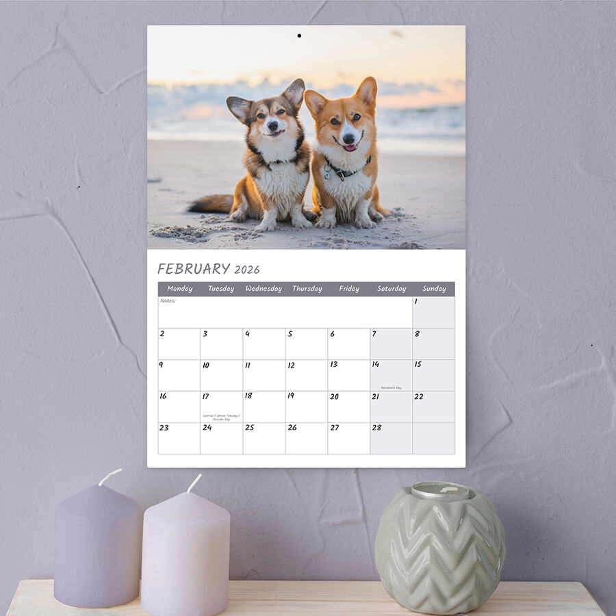 year 2026 Corgi wall calendar