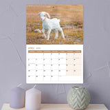 2026 Baby Goats Calendar – A3 Monthly Wall Display for Goat Lovers