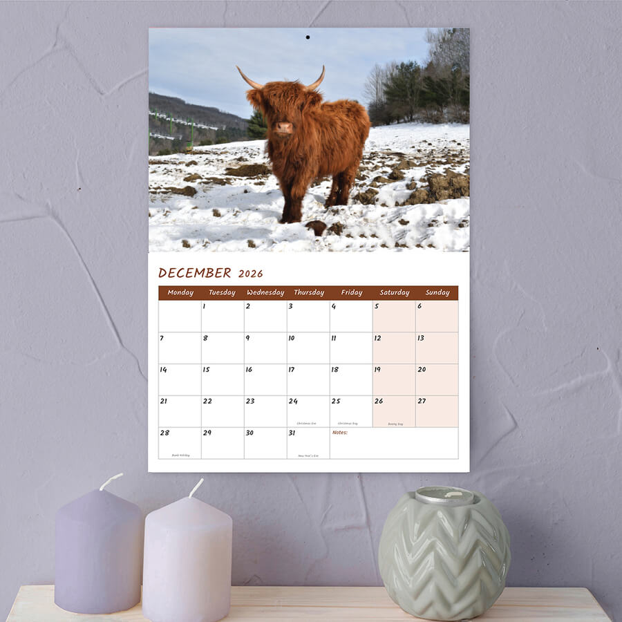Cow Calendar