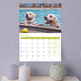 Playful Pups 2025 Wall Calendar