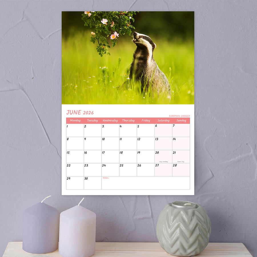 A3 Wall Calendar
