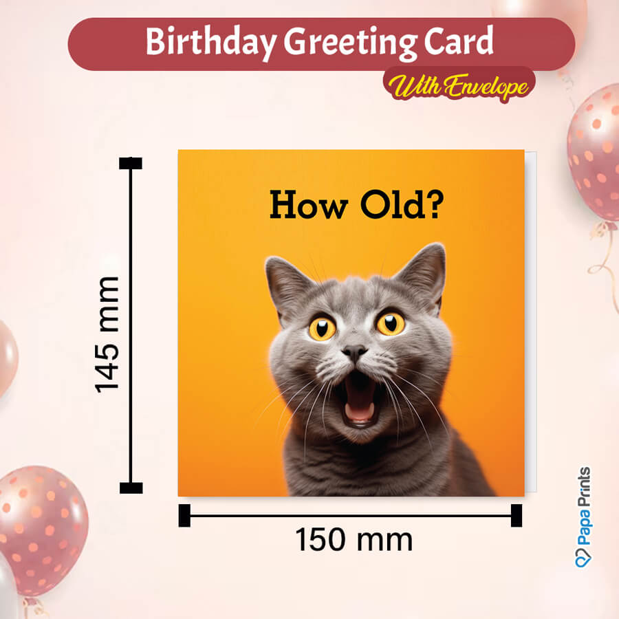 Humorous Cat Age Birthday Card