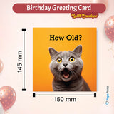 Humorous Cat Age Birthday Card