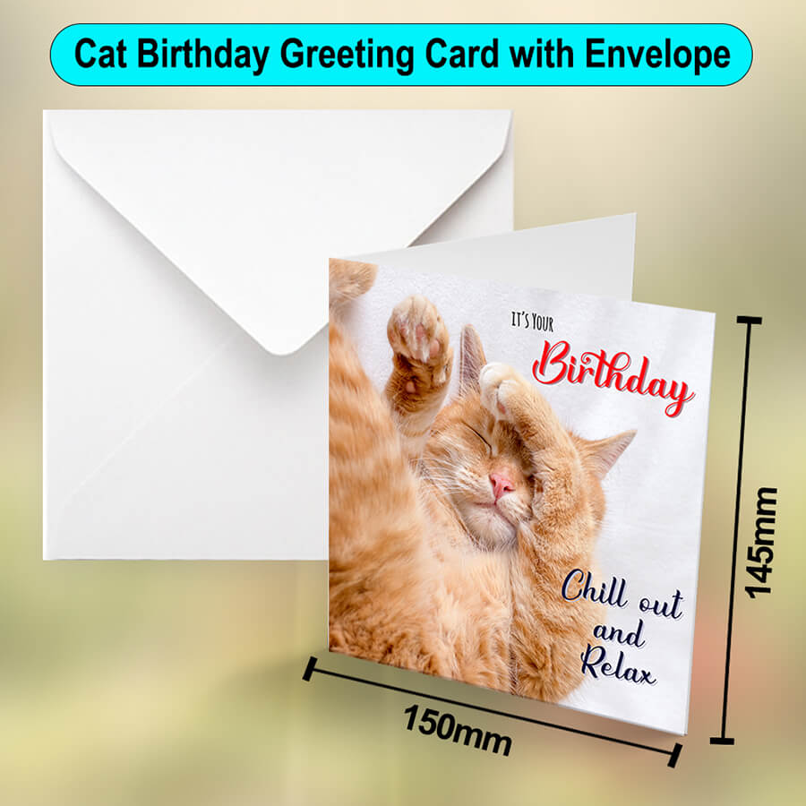 Cat Birthday Chill Out Card