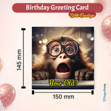 Playful Monkey Birthday Greeting Card
