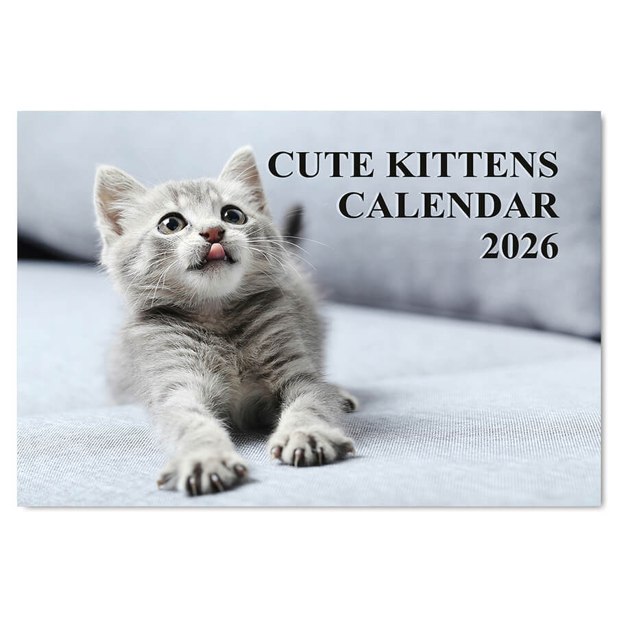 Kittens Calendar 2026 – 12-Month A3 Size