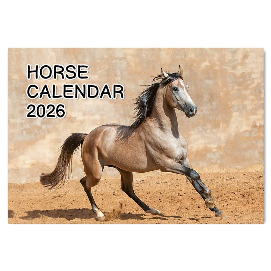 Horse 2026 wall calendar UK 