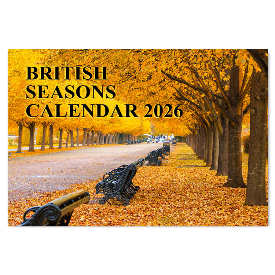 monthly calendar 2026
