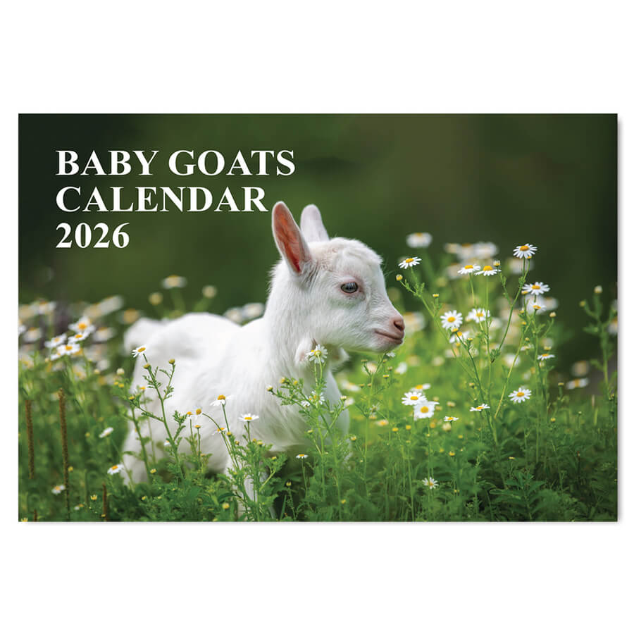 A3 Wall Planner